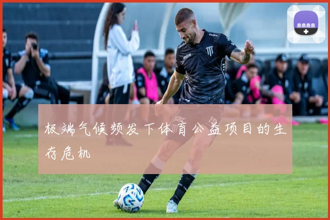极端气候频发下体育公益项目的生存危机