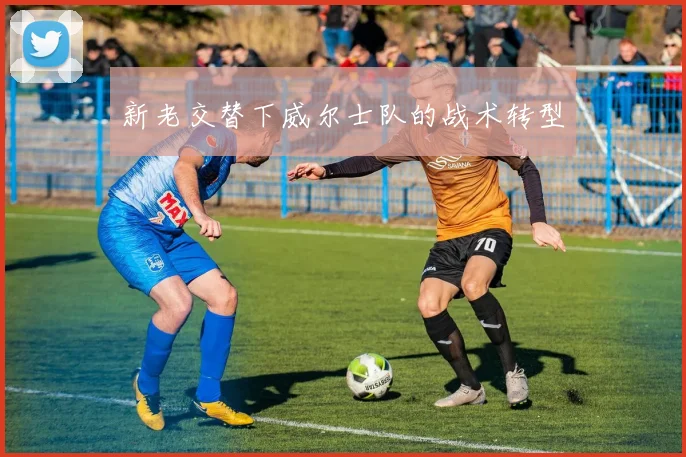 新老交替下威尔士队的战术转型